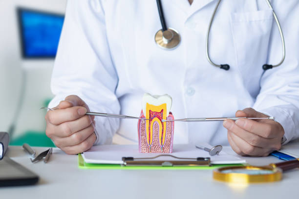 Best Emergency Dental Services for Seniors in Iron Mountain, MI